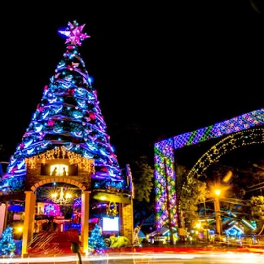 Gramado e Canela – Natal Luz dos Sonhos - Foto 2